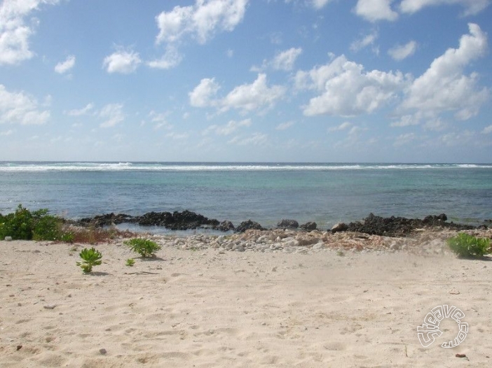 Caribbean Christmas - Cayman Islands - December 2009