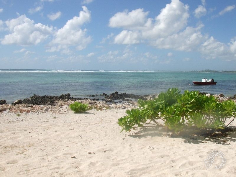 Caribbean Christmas - Cayman Islands - December 2009