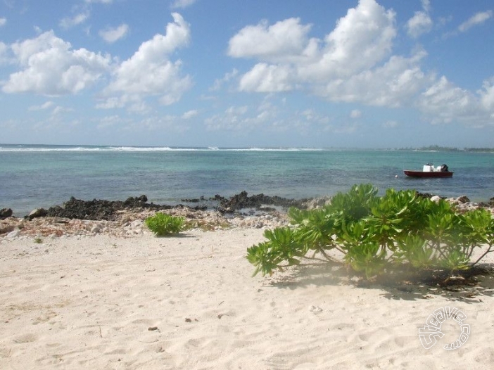 Caribbean Christmas - Cayman Islands - December 2009