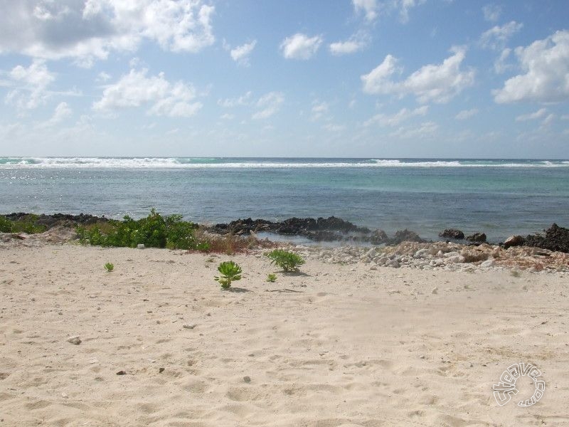 Caribbean Christmas - Cayman Islands - December 2009