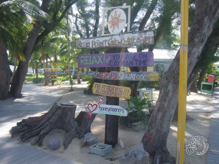 Caribbean Christmas - Cayman Islands - December 2009