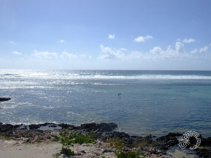 Caribbean Christmas - Cayman Islands - December 2009