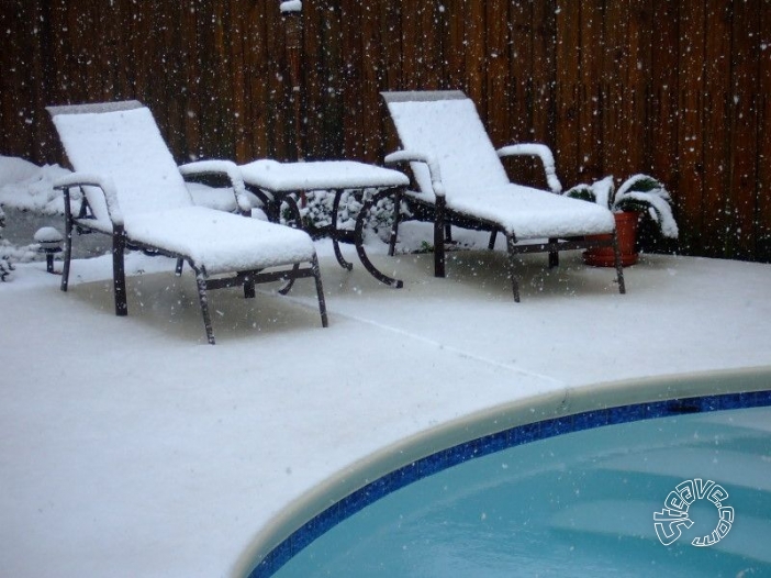 Pool, Patio & Garden