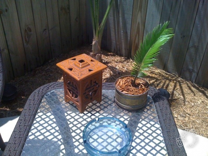 Pool, Patio & Garden