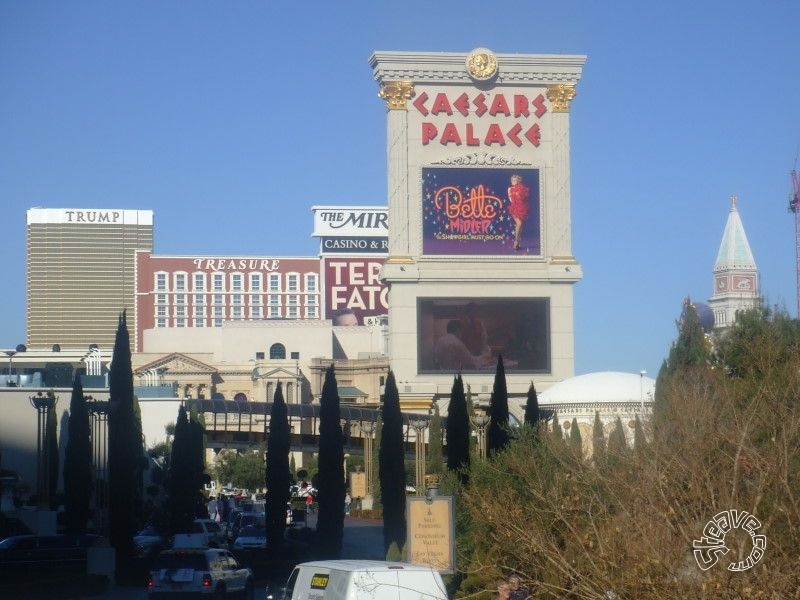 Las Vegas - January 2010