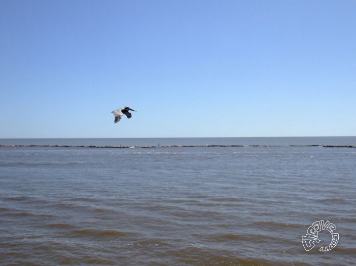 Smokin' The Sound - Biloxi, MS - March 2009