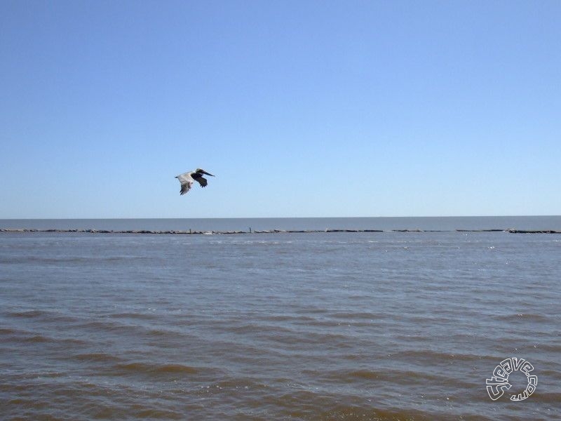 Smokin' The Sound - Biloxi, MS - March 2009