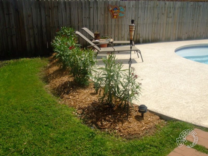 Pool, Patio & Garden