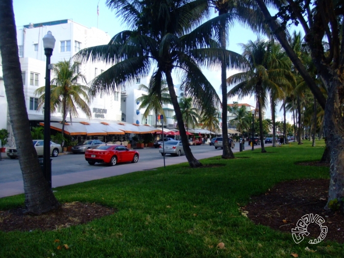 South Beach & NCL Pearl - East Caribbean Cruise - November 2010