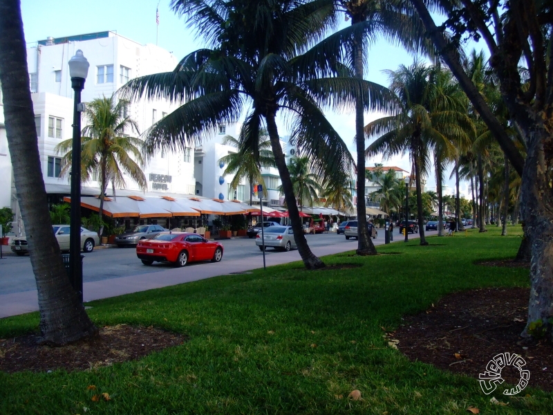 South Beach & NCL Pearl - East Caribbean Cruise - November 2010